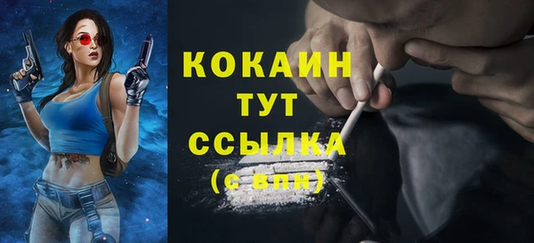 дмт Михайловск