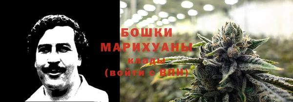 индика Михайлов