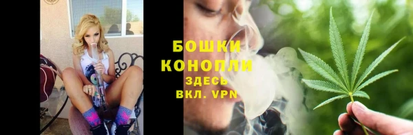 индика Михайлов