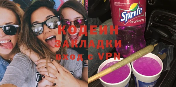 индика Михайлов