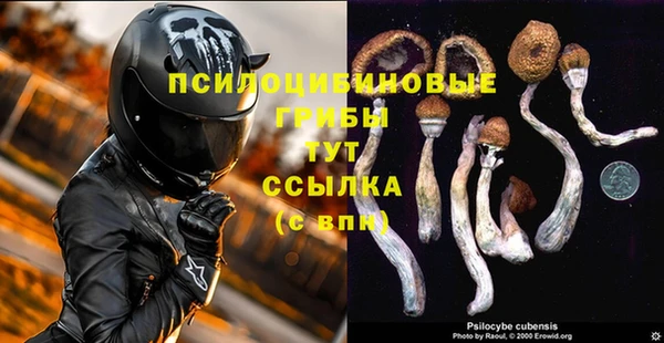 дмт Михайловск