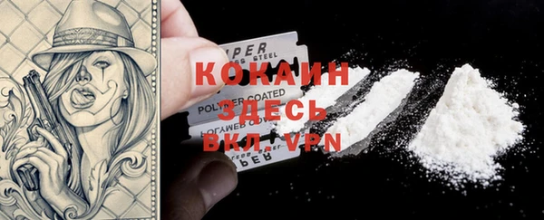 индика Михайлов