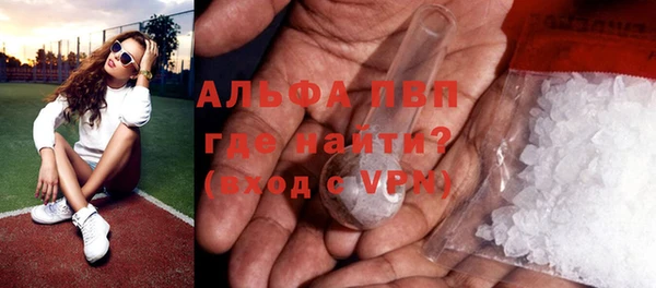 индика Михайлов
