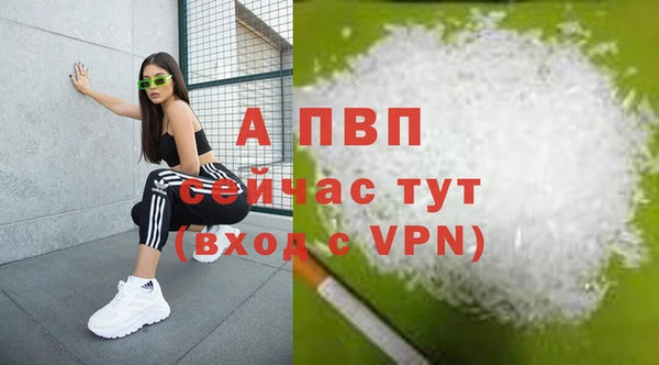 индика Михайлов