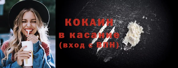 индика Михайлов