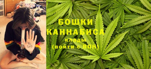 индика Михайлов