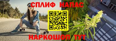 spice Кандалакша