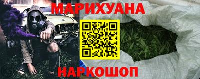 сатива Камышлов