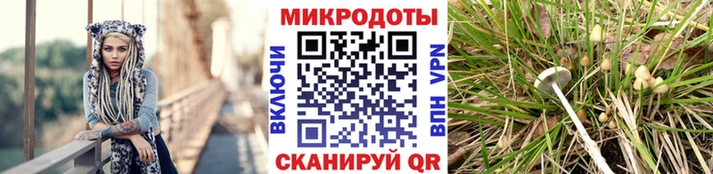 Галлюциногенные грибы мухоморы  сайты даркнета Telegram  Миасс  где продают наркотики 