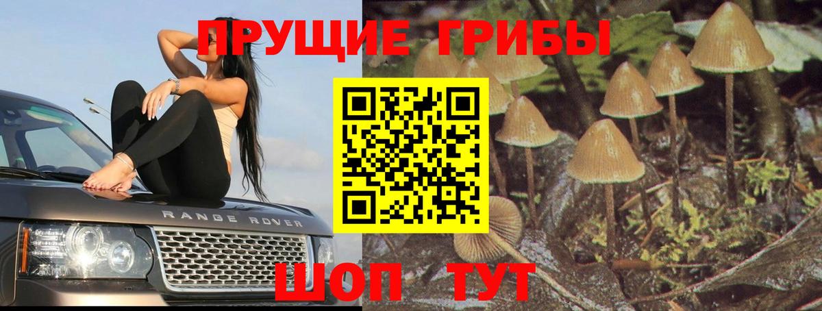 Галлюциногенные грибы Psilocybine cubensis Миасс