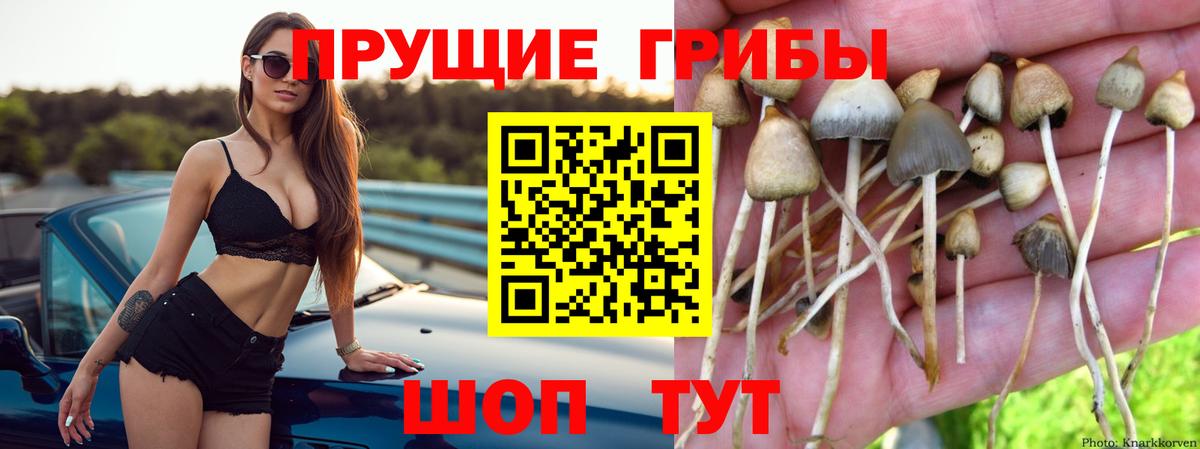 Псилоцибиновые грибы мицелий  Вход с VPN  Галлюциногенные грибы ЛСД  Миасс 